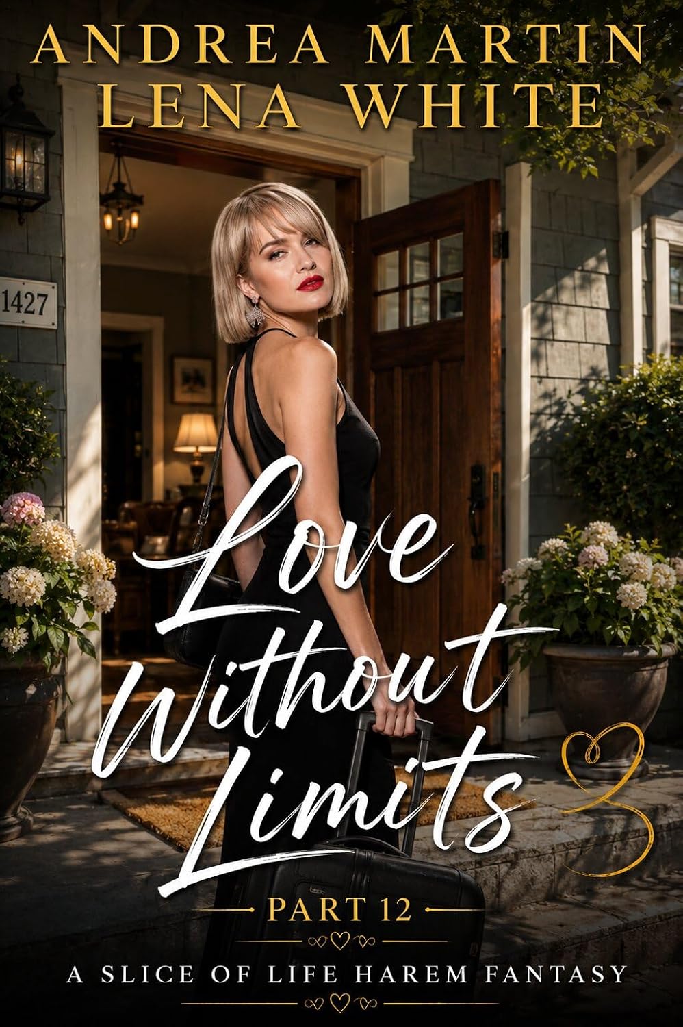 Love Without Limits book cover